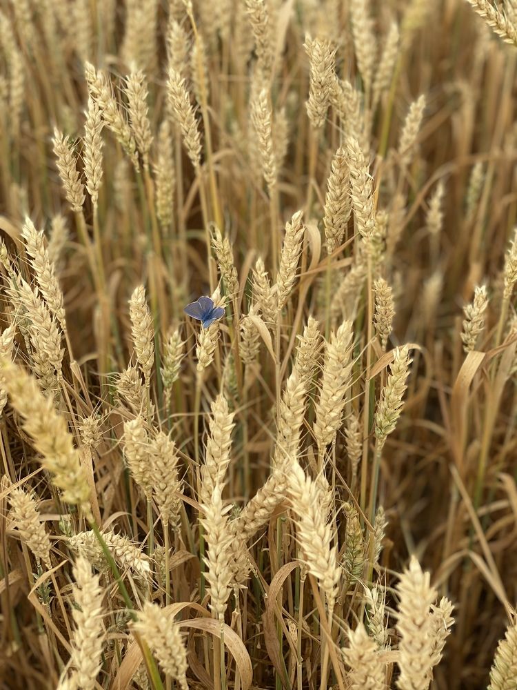 Photograph by Vera Zhabskaya