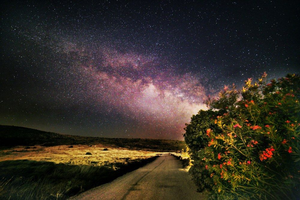 Photograph by Yelena Shestakova