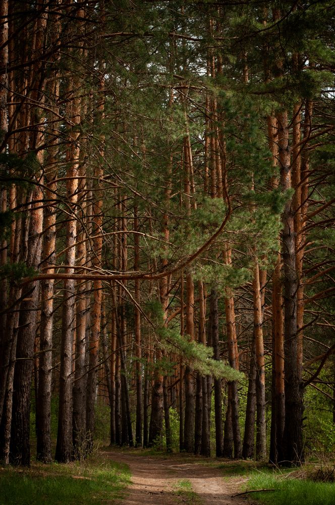 Photograph by Олеся Лагутина