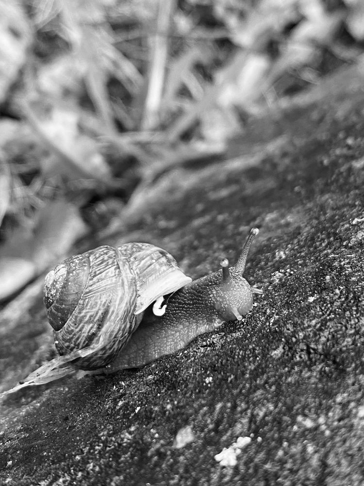 Photograph by Vera Zhabskaya