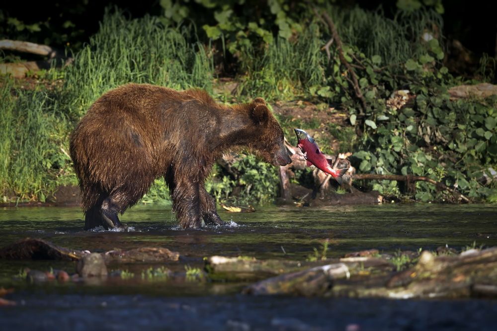 Воздушная дуэль