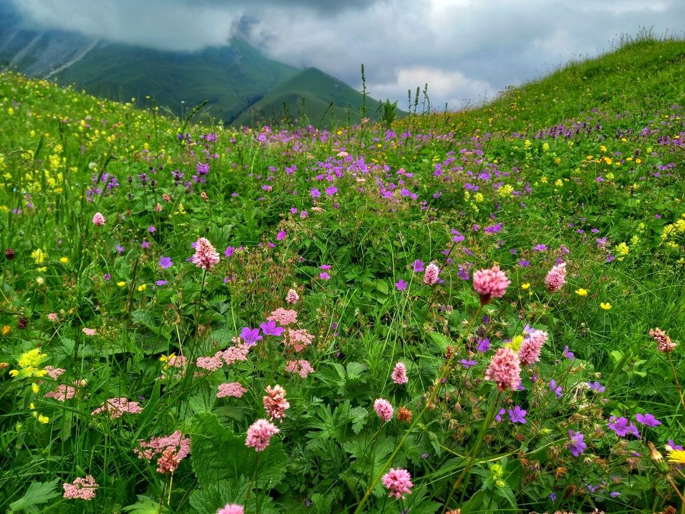 Photograph by Наталья Покрепина