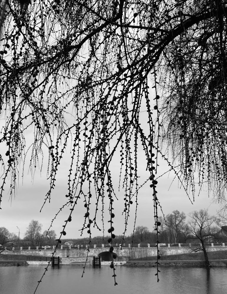 Photograph by Vera Zhabskaya