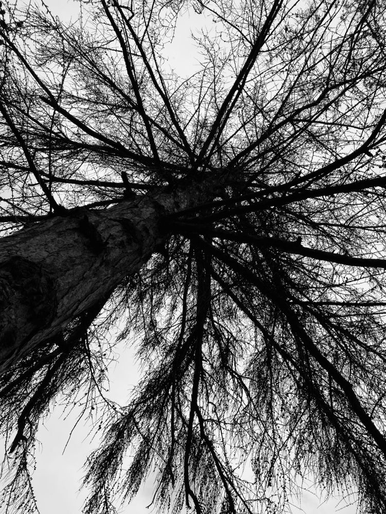 Photograph by Vera Zhabskaya