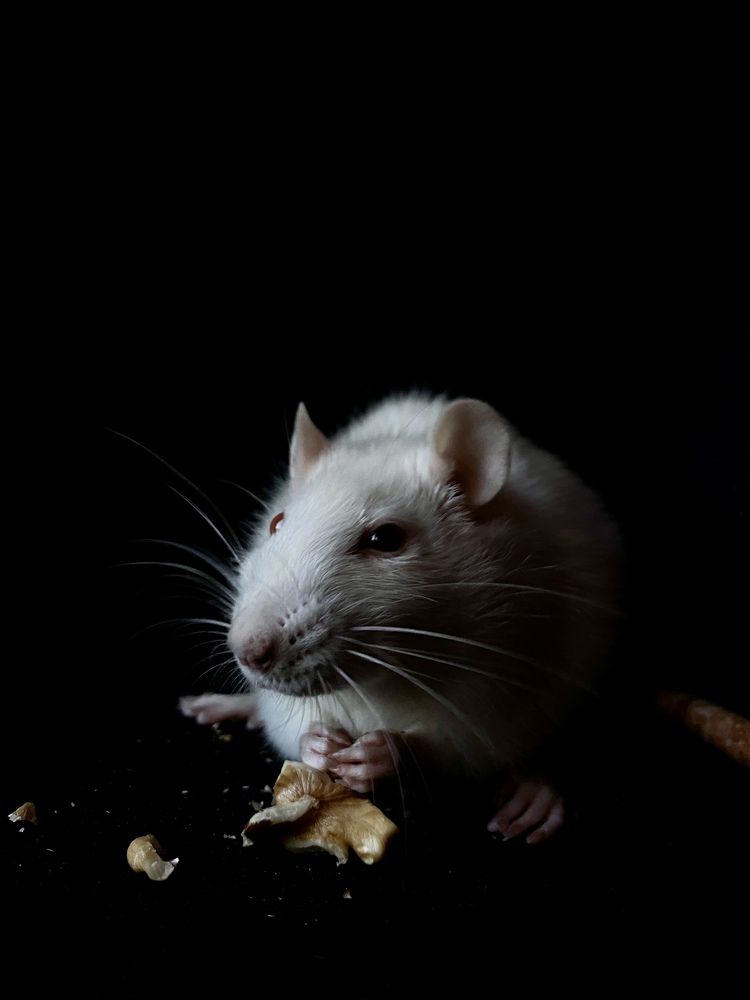 Photograph by Vera Zhabskaya