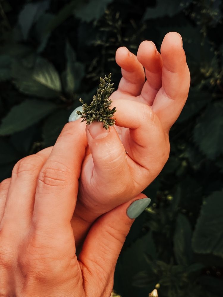 Photograph by Vera Zhabskaya