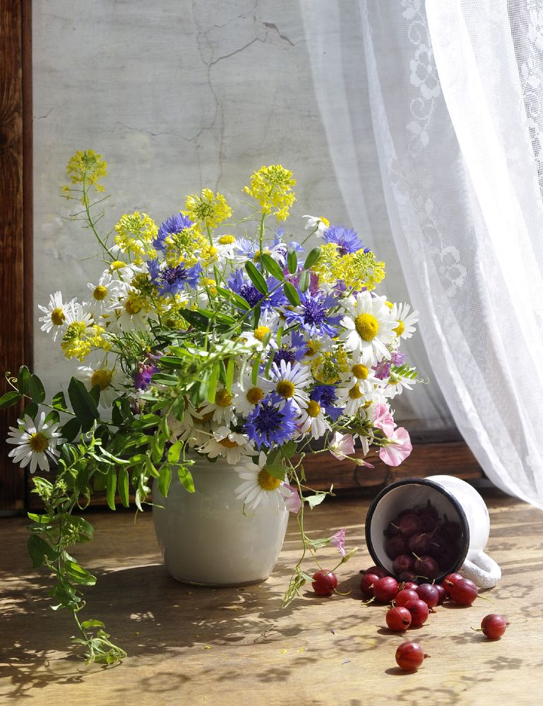 Photograph by Елена Панькова