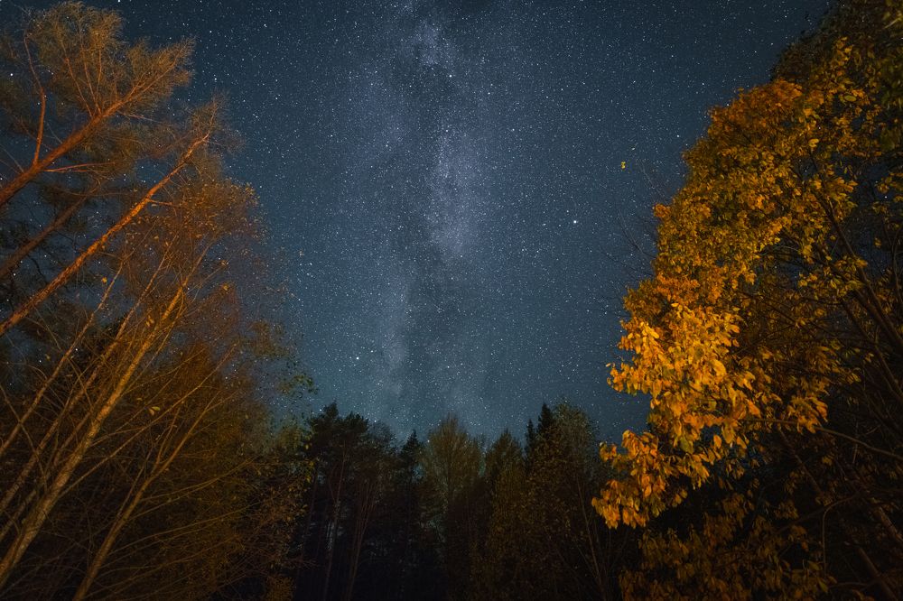 Photograph by Denis Koshkin