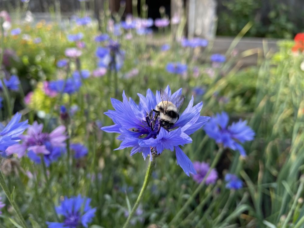 Photograph by Ольга Игумнова