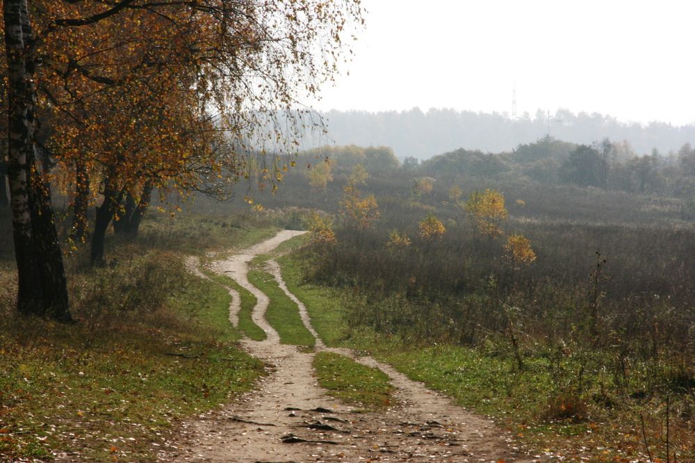 Photograph by Вадим Беляев