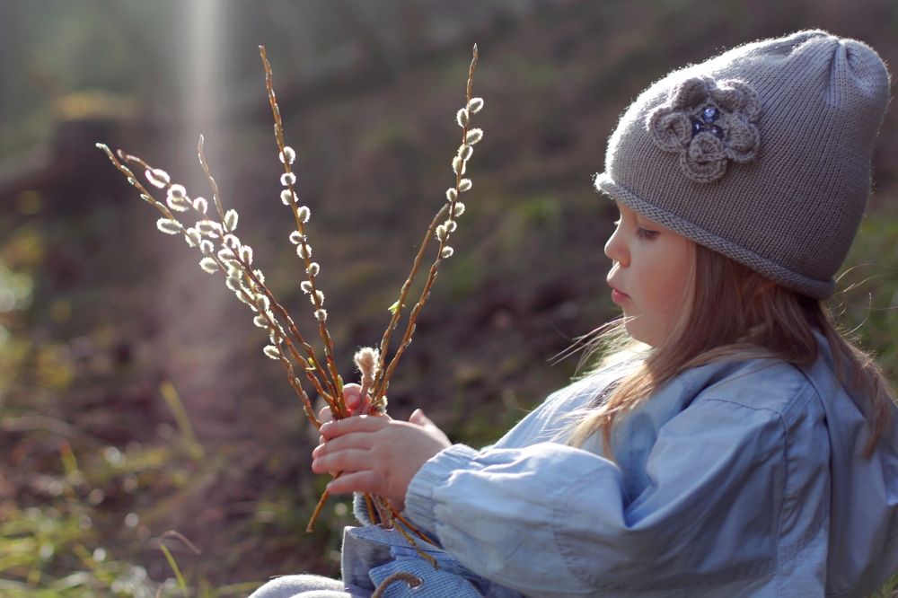 «Вербное воскресенье»