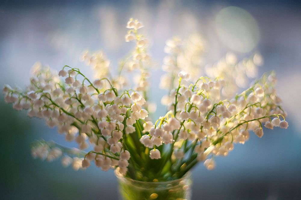 Фотография автора Дарья Васильева