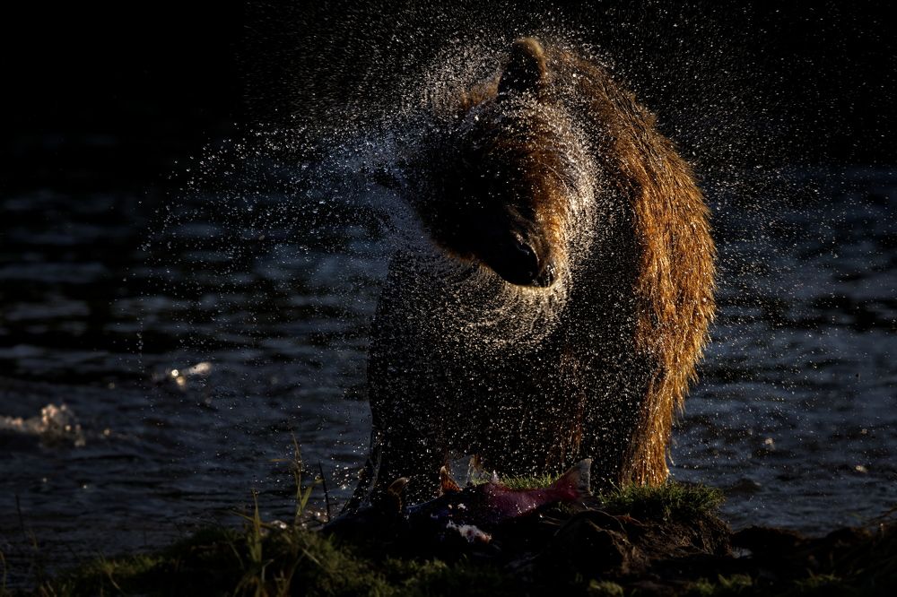 Капельная терапия