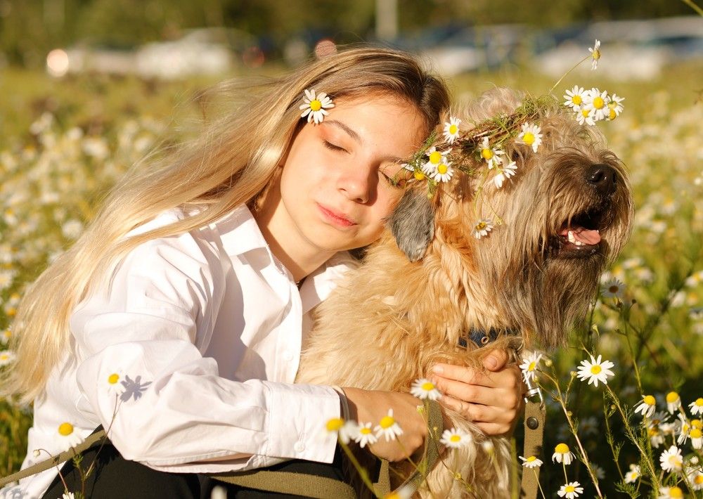 Ромашковое лето....