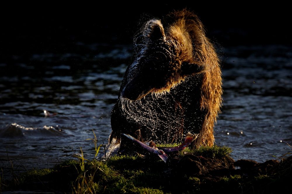 Ужин с пристрастием