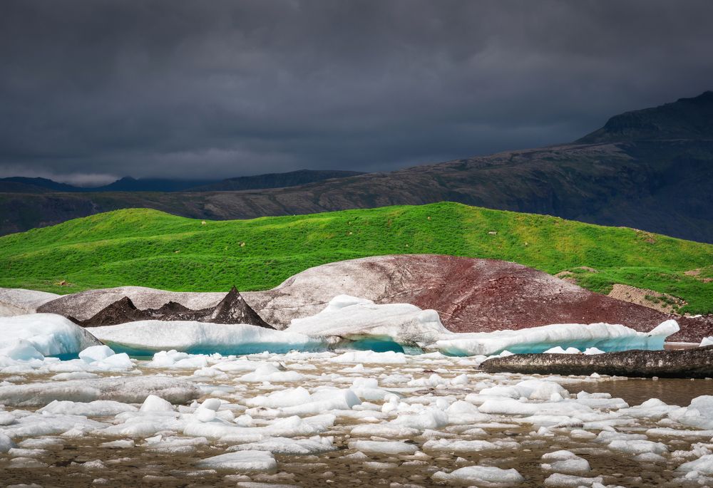 Photograph by Piotr Mickevic