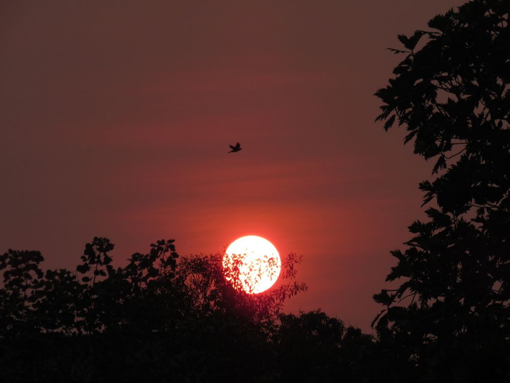 Photograph by Devin Pineda