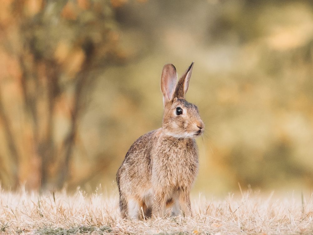 Photograph by Masood Aslami