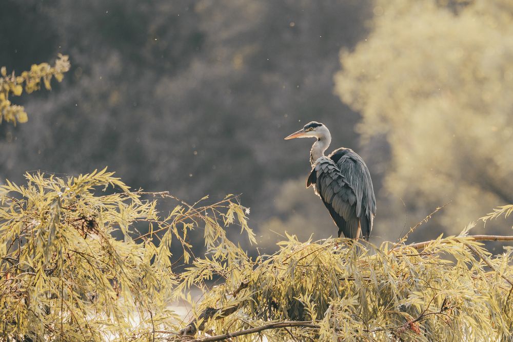 Photograph by Masood Aslami