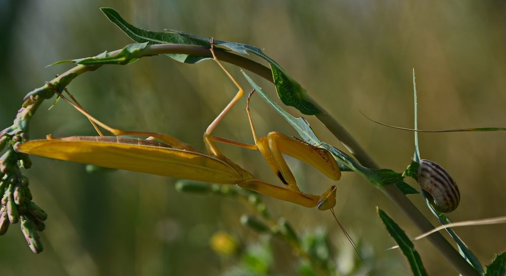 Photograph by Александр