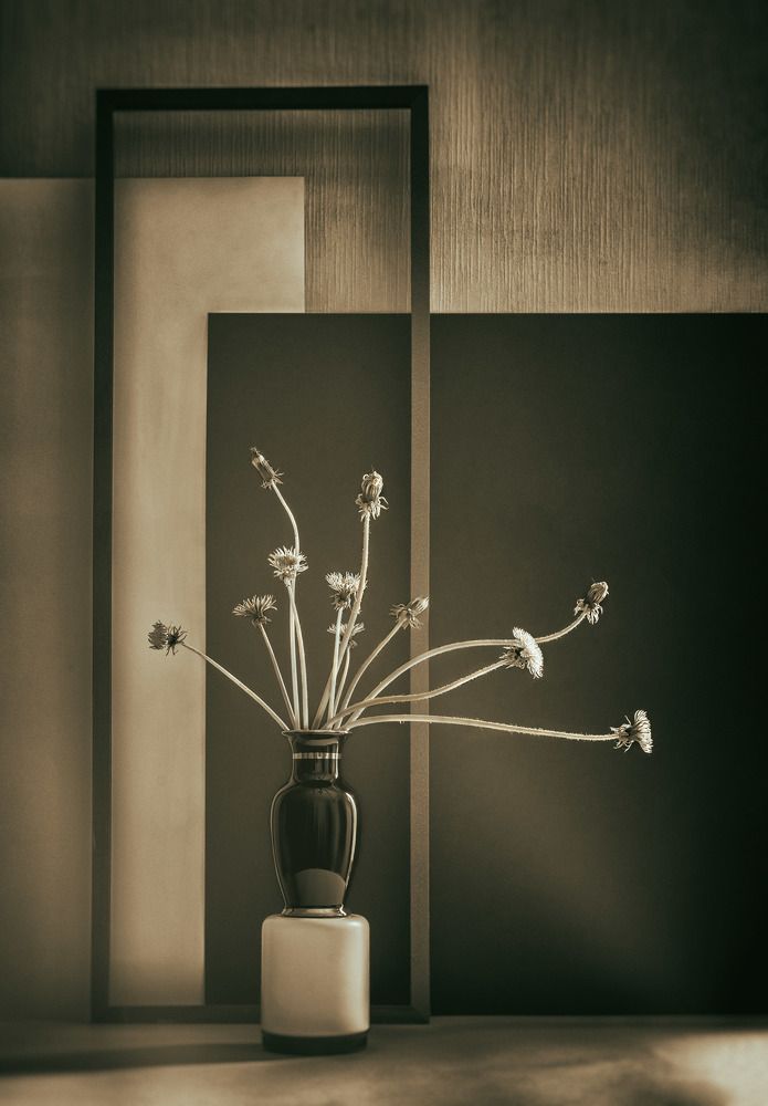 Photograph by Alexandra Alexia