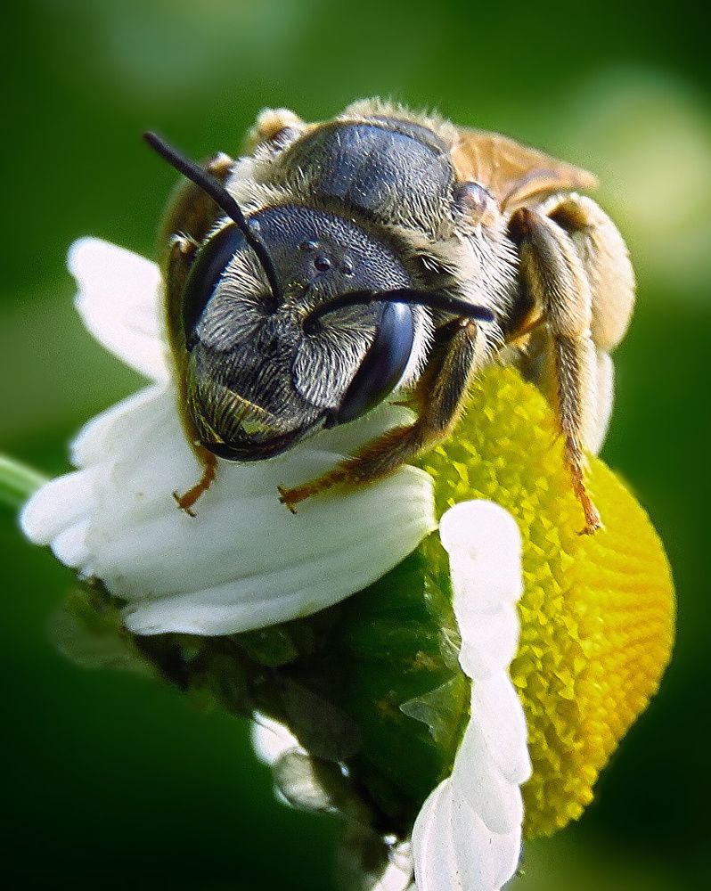 Photograph by Amin Ghaffarian
