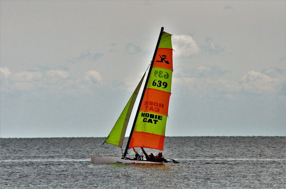 Photograph by БРОВКО АЛЕКСАНДР ИВАНОВИЧ