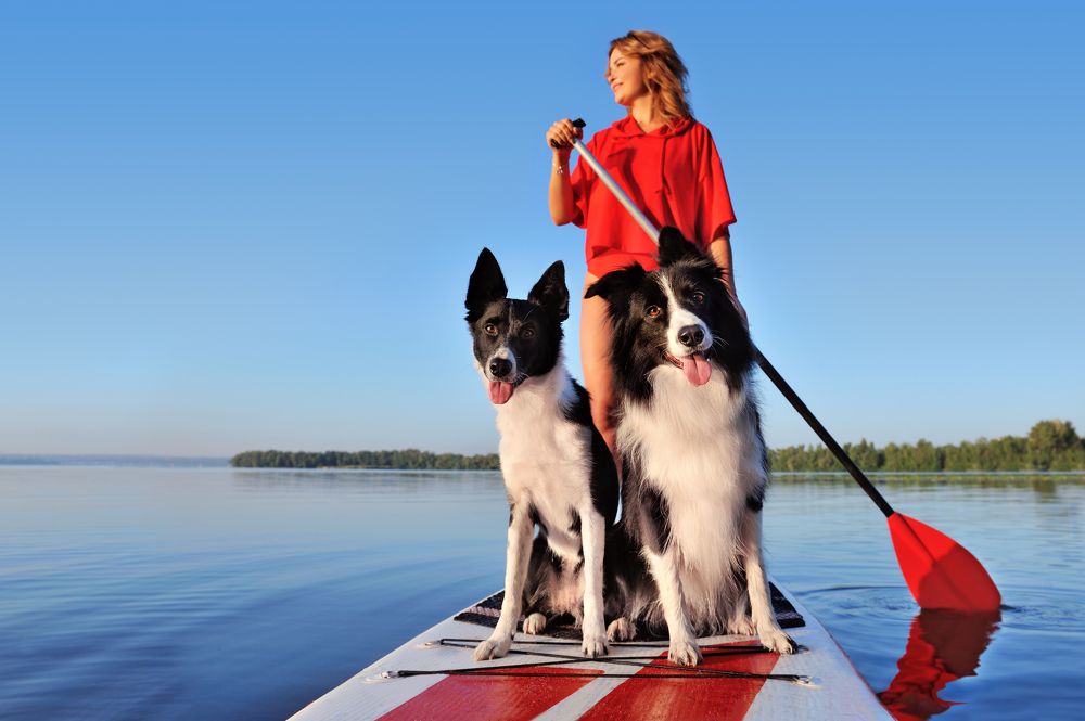 Photograph by Татьяна Калмацуй