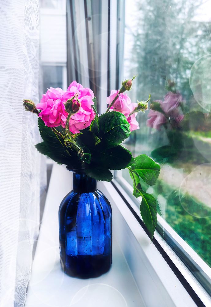 Photograph by Светлана Перминова