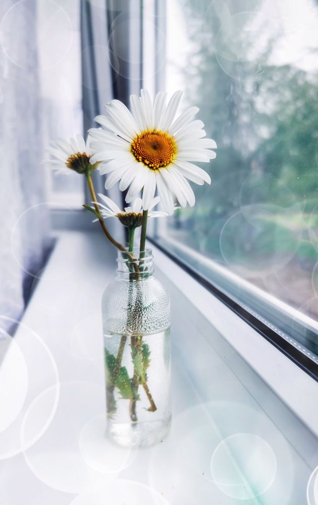 Photograph by Светлана Перминова