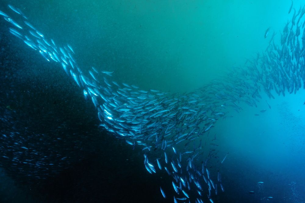 Photograph by Tatiana Serova