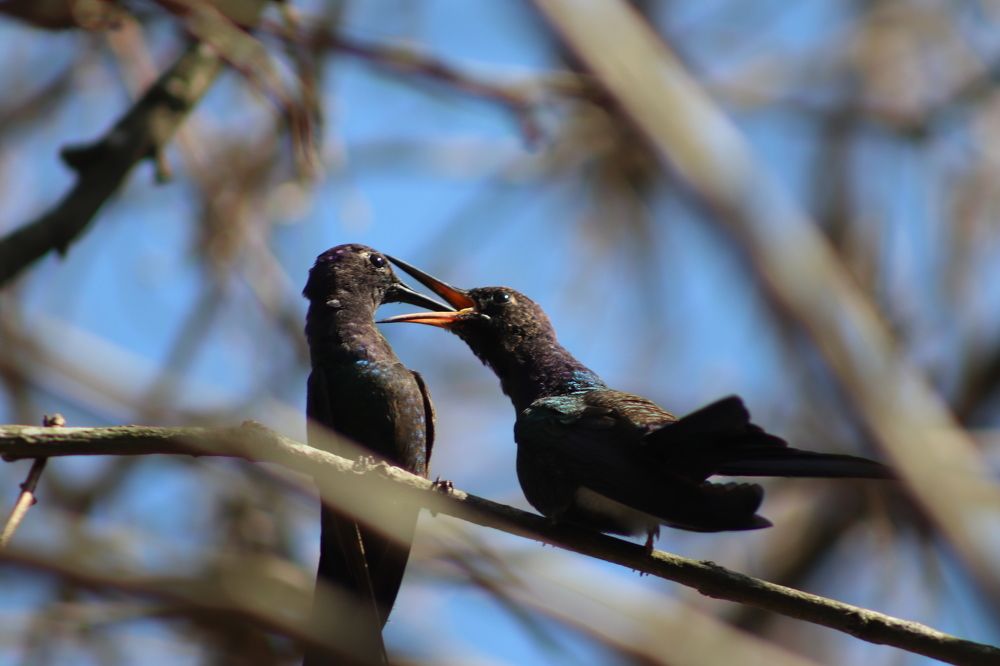 Photograph by juliana