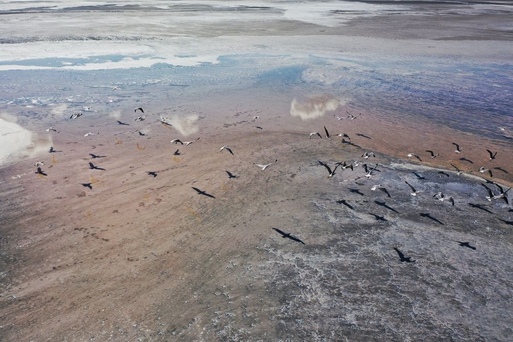 Photograph by Дмитрий Батагов