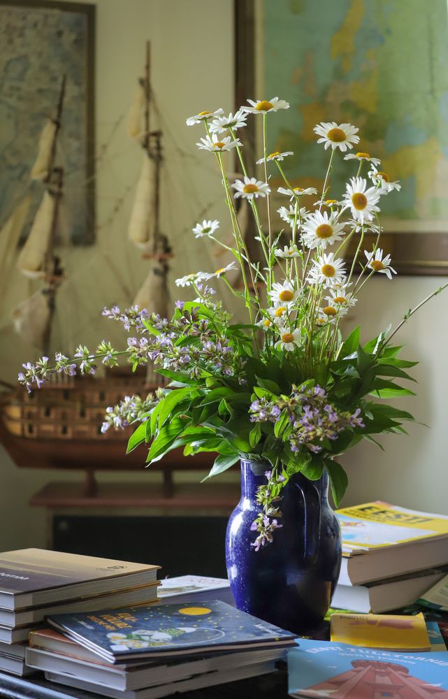 Photograph by Елена Шавшина