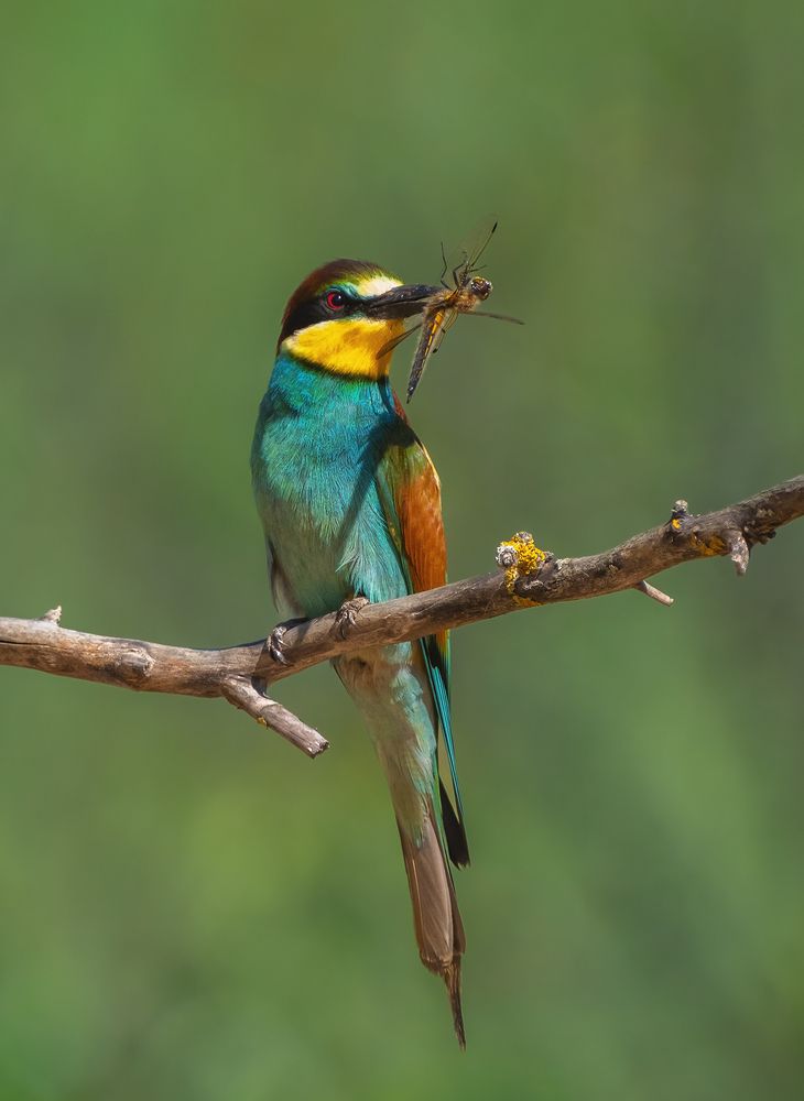 Photograph by Игорь Кляхин