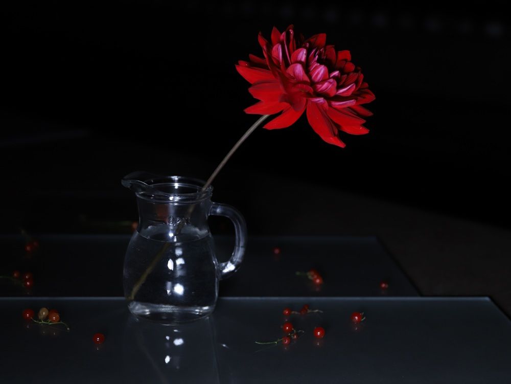 Photograph by Елена Тимченко