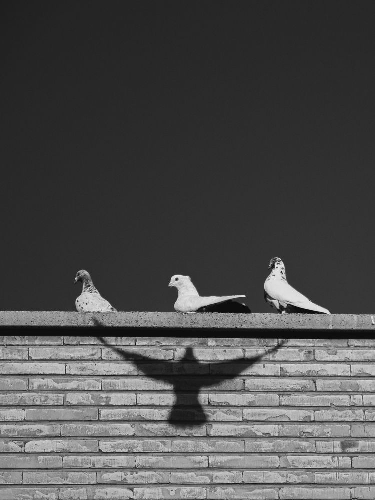 Photograph by mobin the abstract