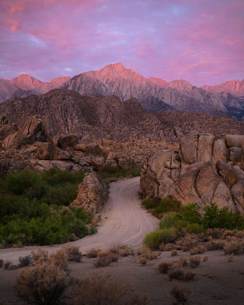 Фотография автора Robert Welsted