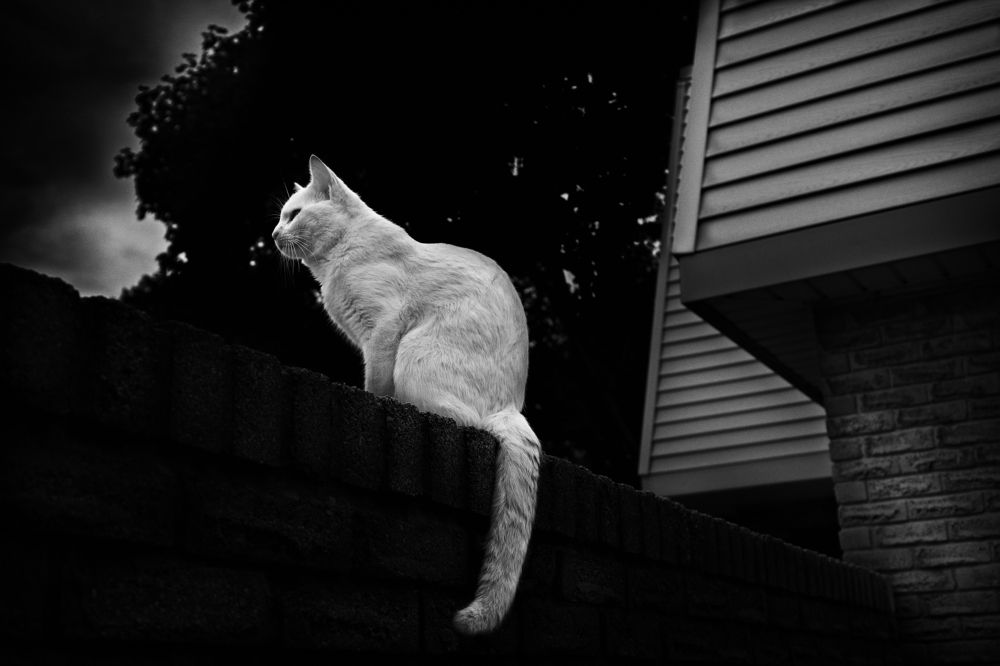 Photograph by Ksenia Kouri