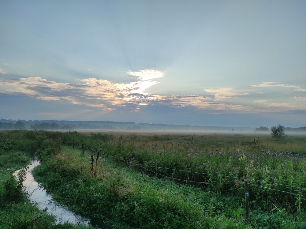 Photograph by Tatiana Kubashina