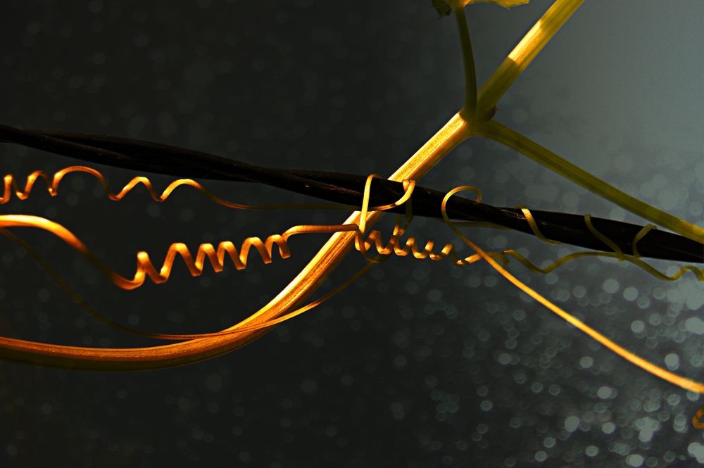 Photograph by Дмитрий Грысюк