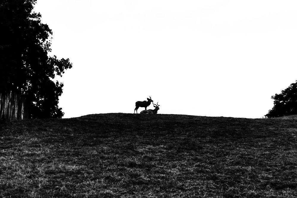 Photograph by Kateřina Mařáková