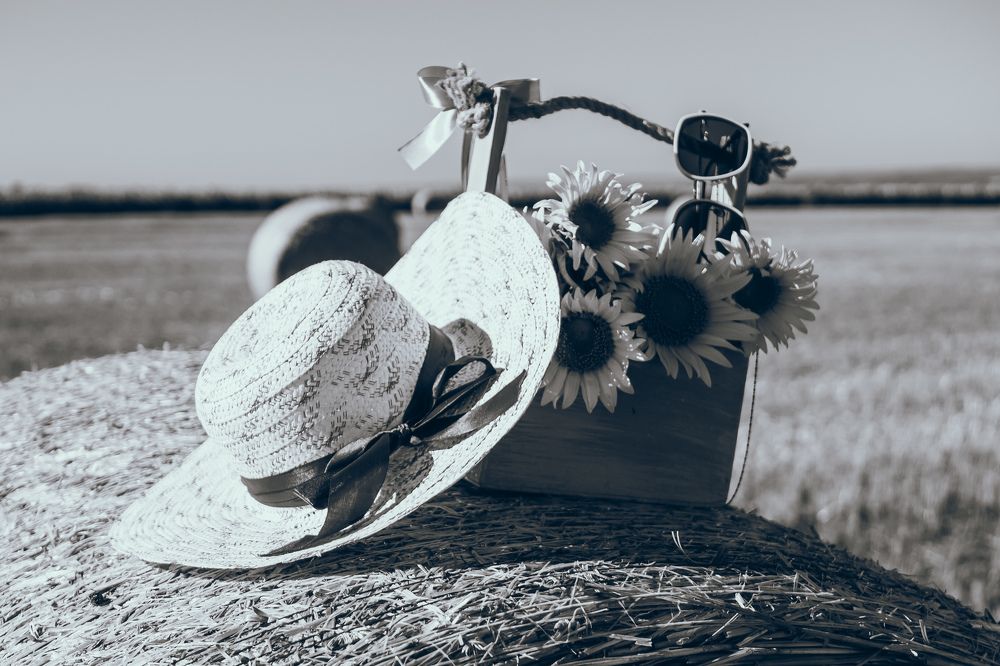 Photograph by Дмитрий Головко