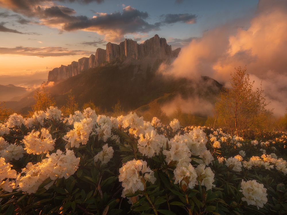 Photograph by Лузанов Вячеслав