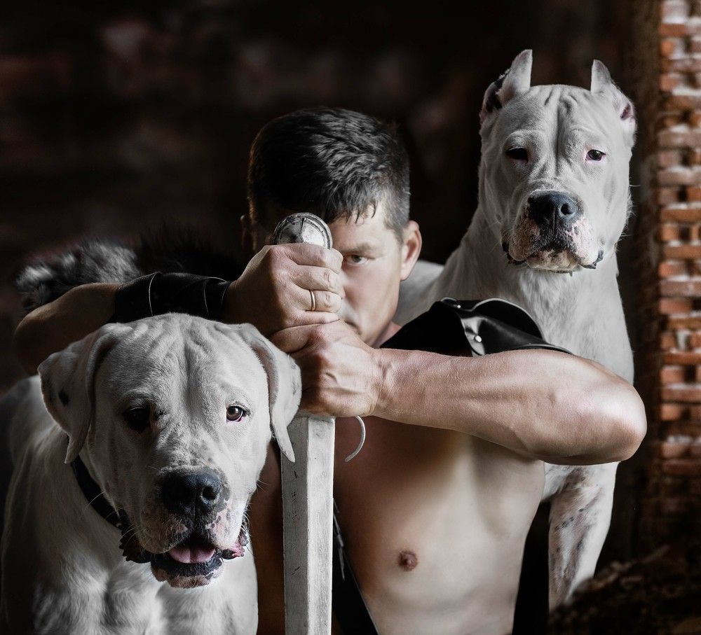 Photograph by Дина Колдомова