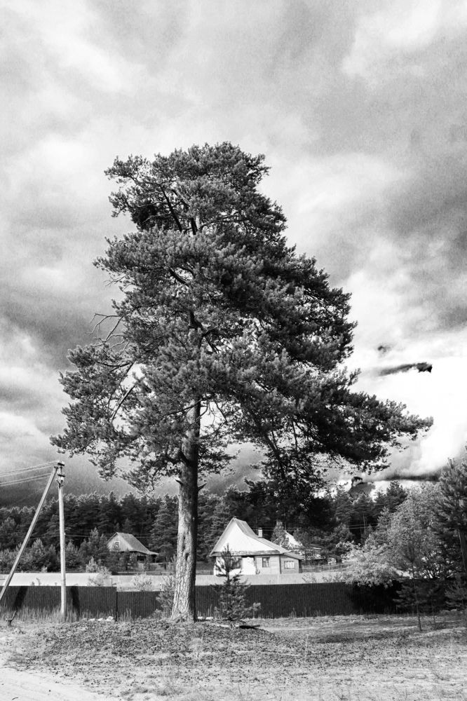 Photograph by Игорь Чечин