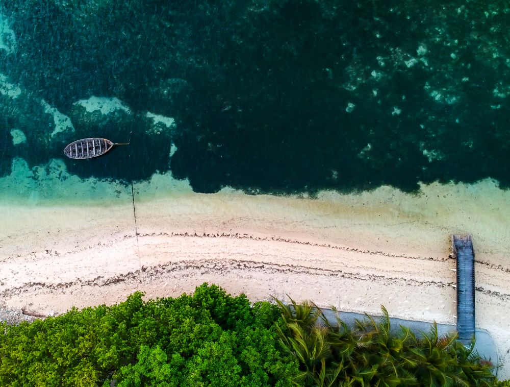 Photograph by Shinto K Anto