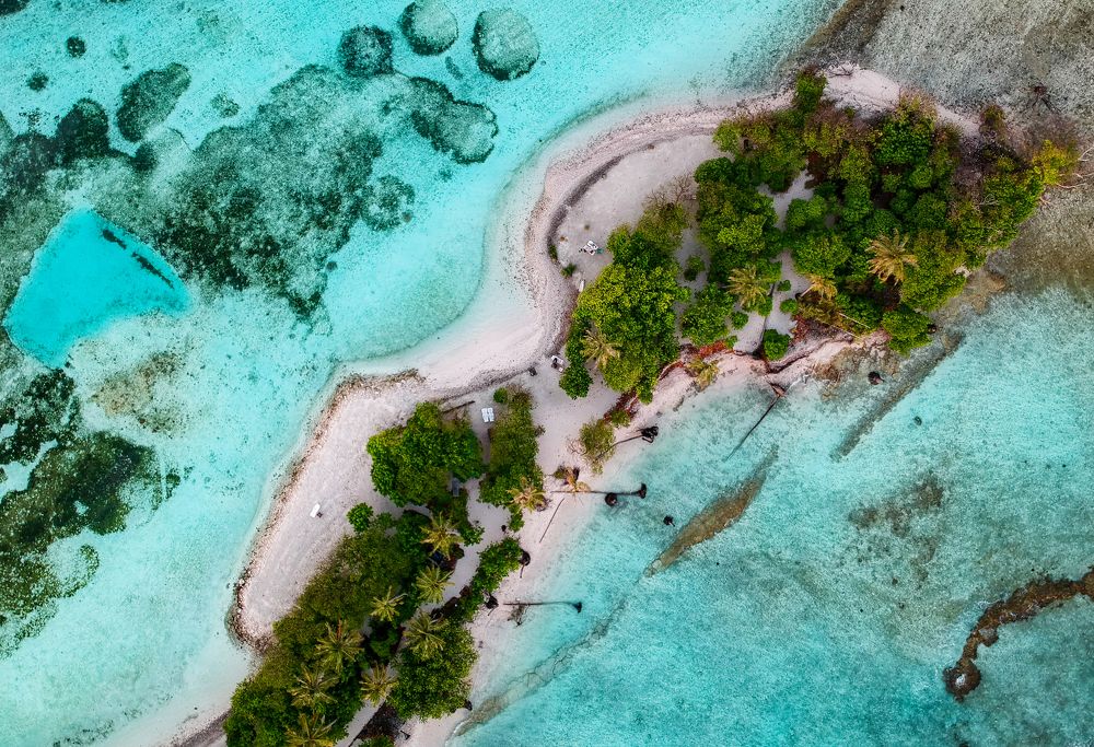 Photograph by Shinto K Anto