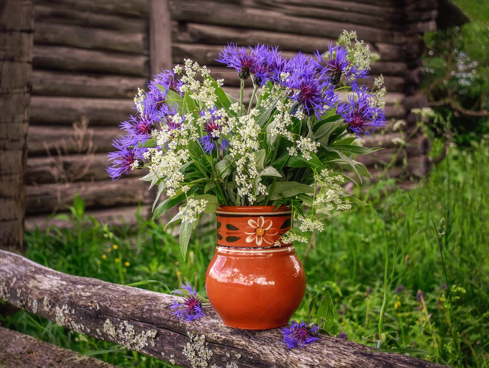 Деревенские мотивы.