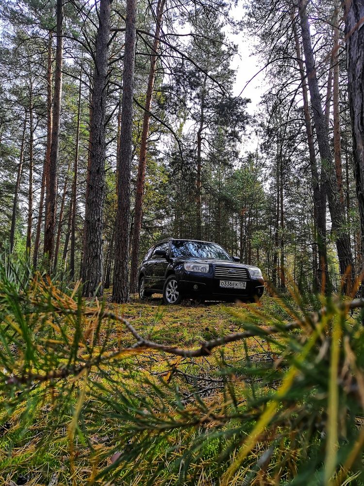 Photograph by Вадим Сташкевич